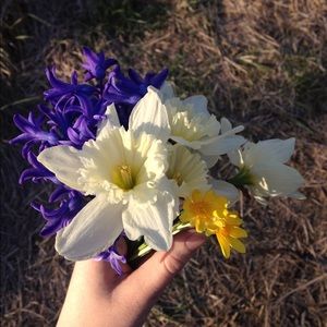 Meet your Posher, Kristin